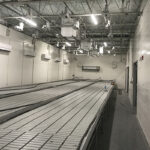 Commercial Grow Room, White EZ Liner® PVC Panels
