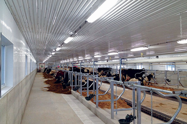Dairy Barn Ceiling, Agrilite™ Greca