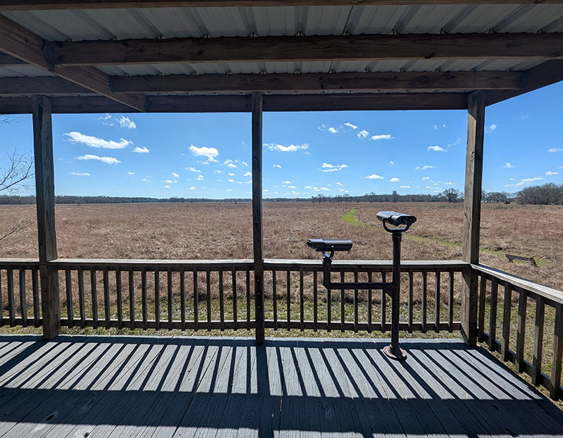 Armand Bayou Nature Center - Greenhouse