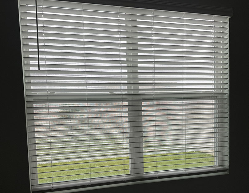 Polycarbonate Multiwall Hurricane Panel