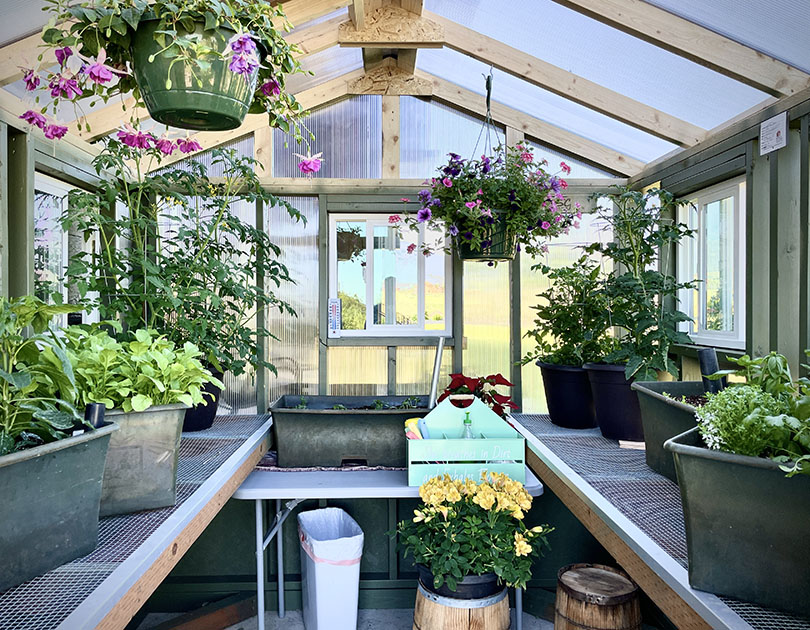 msc - interior greenhouse